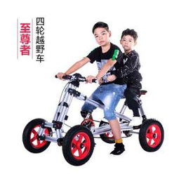 任性宝贝百变童车 一车多用的成长伴侣，给孩子一个百变童年
